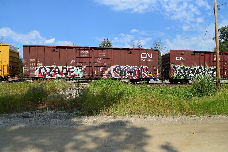 DSC_0586.JPG