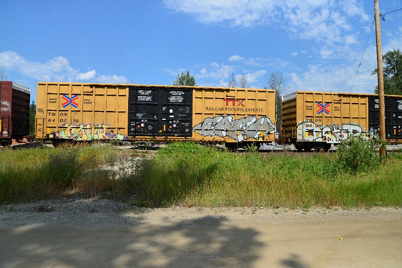 DSC_0590.JPG