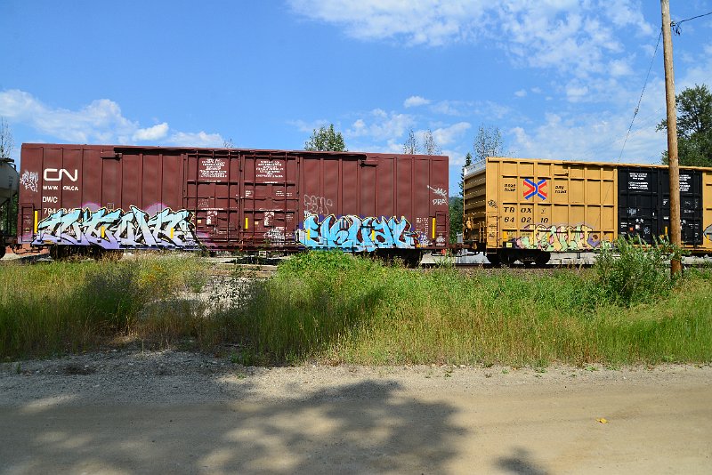 DSC_0591.JPG