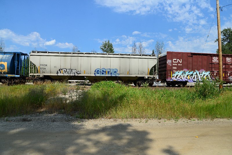 DSC_0592.JPG