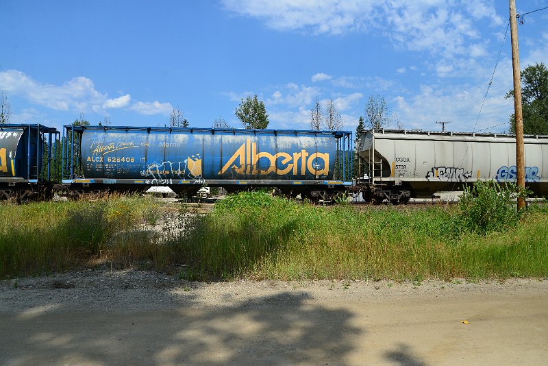 DSC_0593.JPG