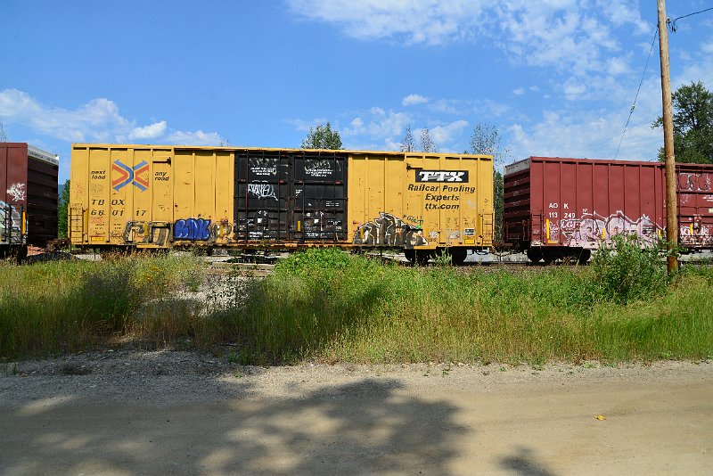DSC_0598.JPG