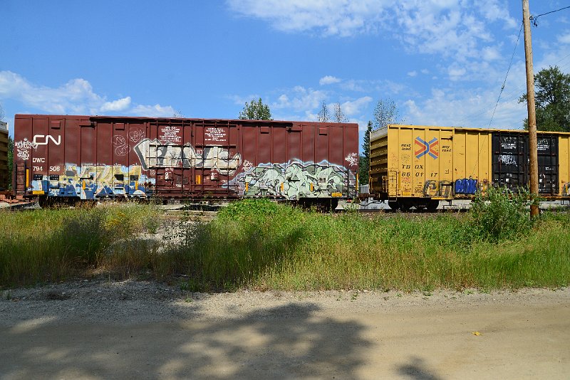 DSC_0599.JPG