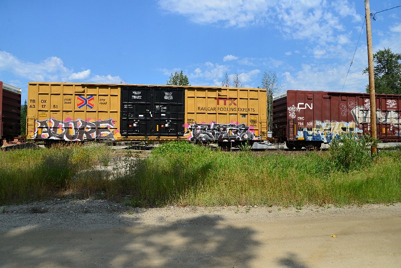 DSC_0600.JPG