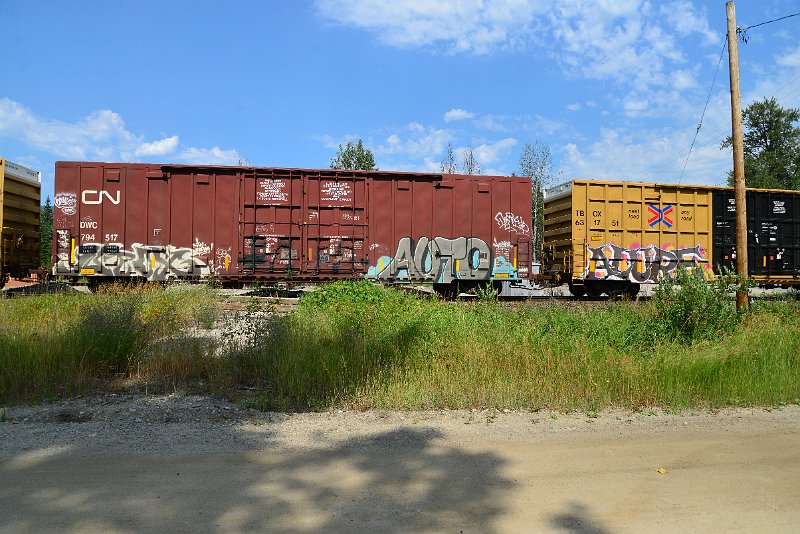 DSC_0601.JPG