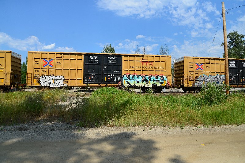 DSC_0603.JPG