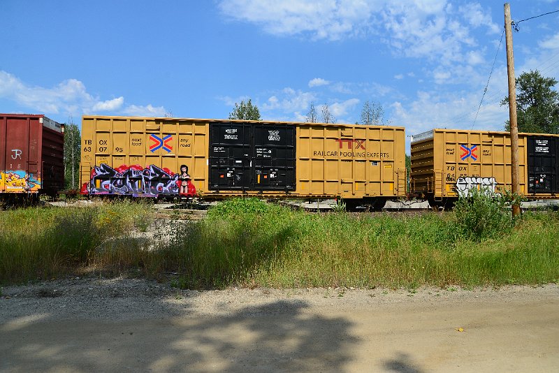 DSC_0604.JPG