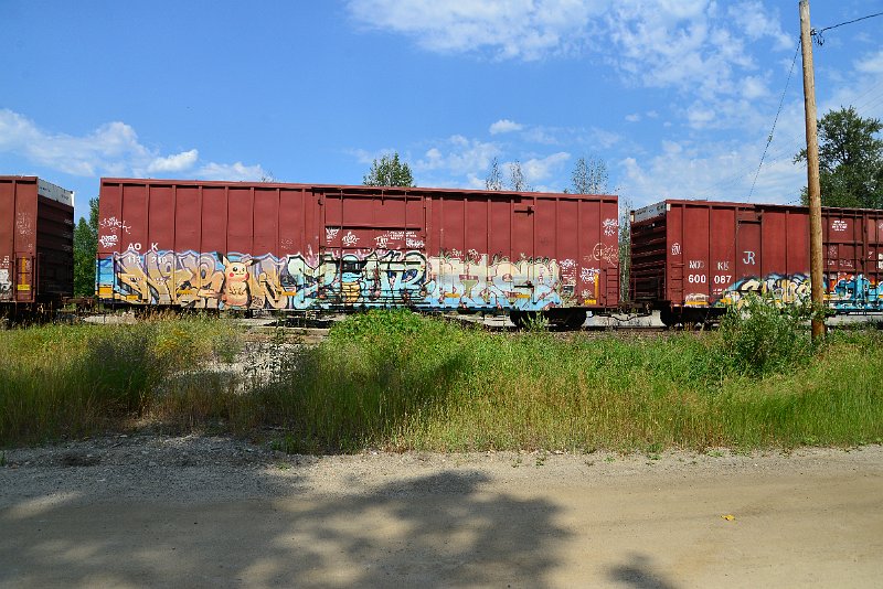 DSC_0606.JPG