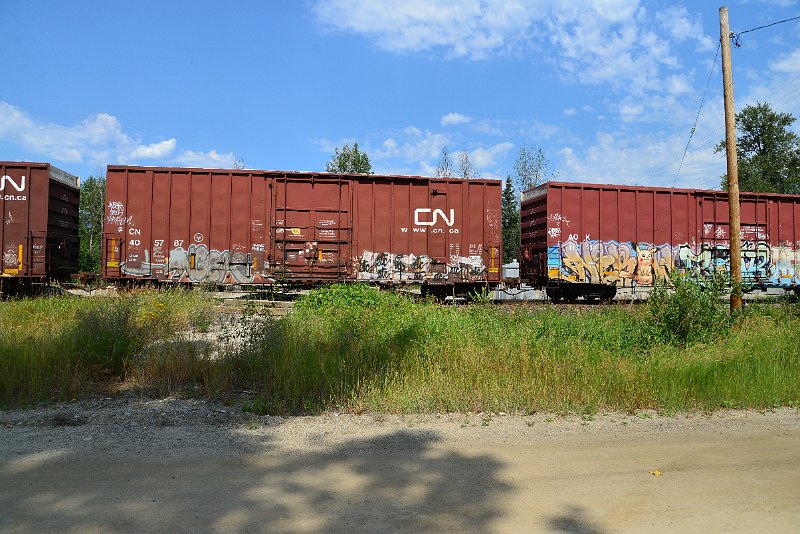 DSC_0607.JPG
