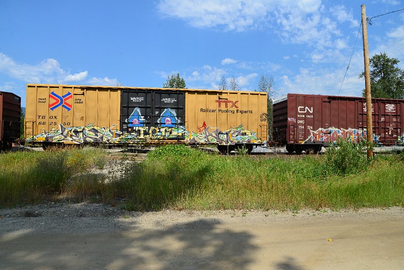 DSC_0610.JPG