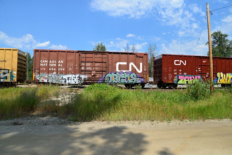 DSC_0613.JPG