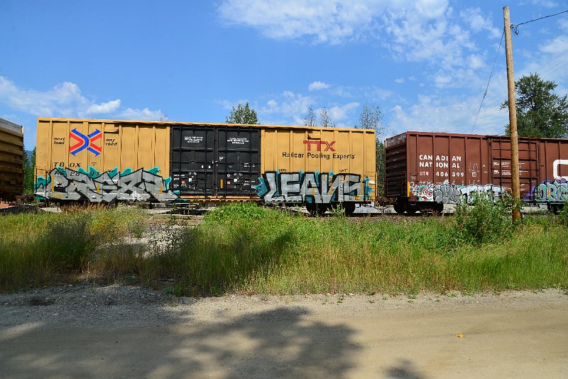 DSC_0614.JPG
