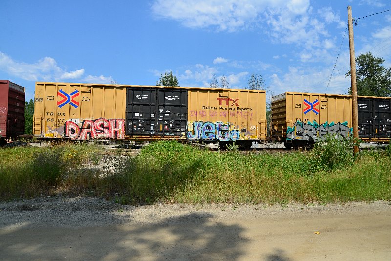 DSC_0615.JPG