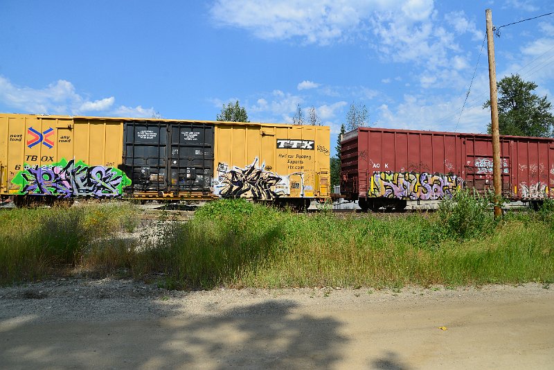 DSC_0618.JPG