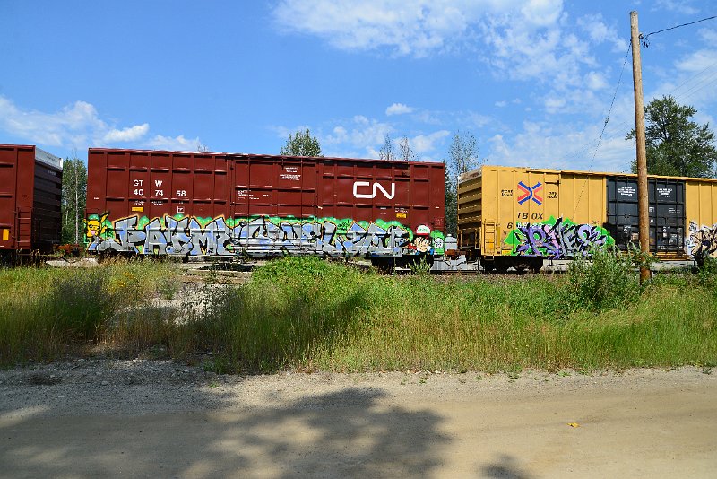 DSC_0619.JPG
