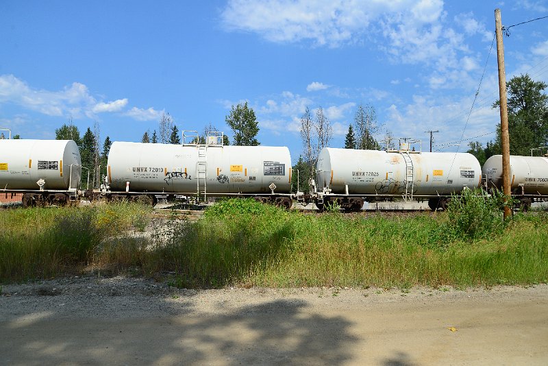 DSC_0628.JPG