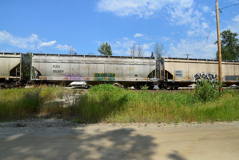 DSC_0644.JPG