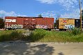 DSC_0536