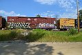 DSC_0585