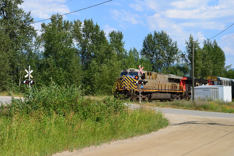 DSC_0650.JPG