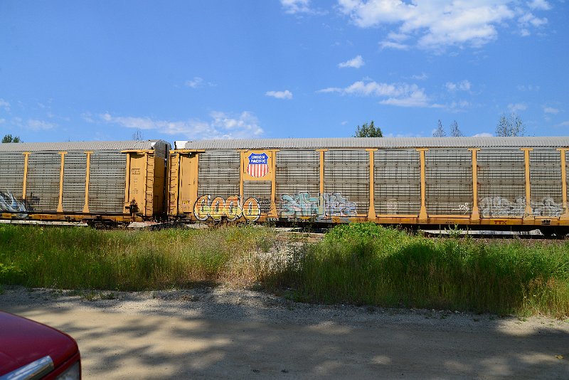 DSC_0655.JPG