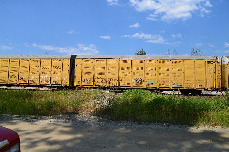 DSC_0657.JPG