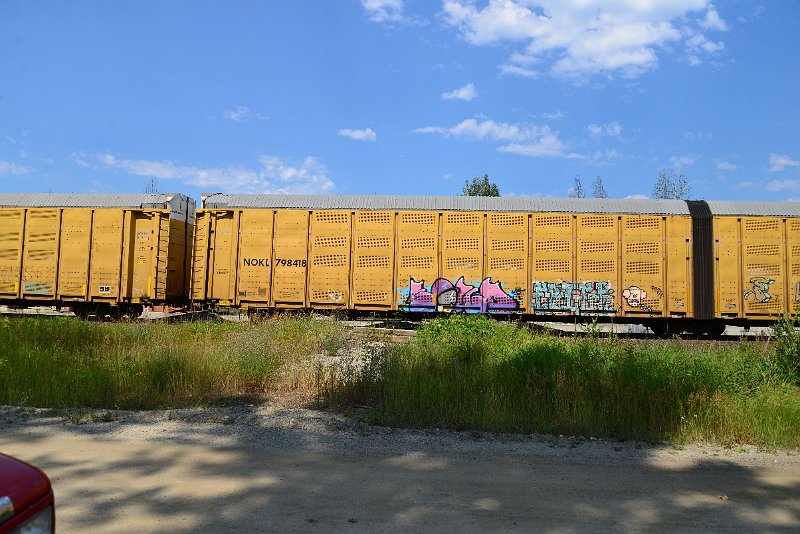 DSC_0658.JPG