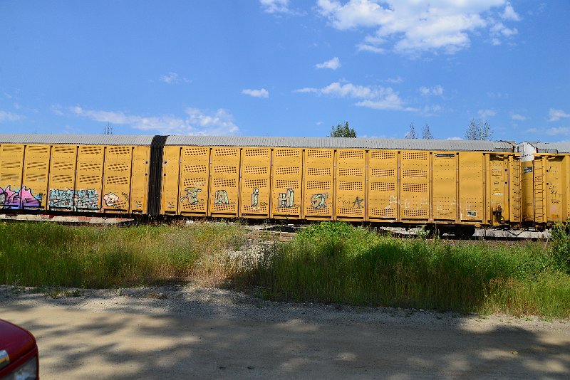 DSC_0659.JPG