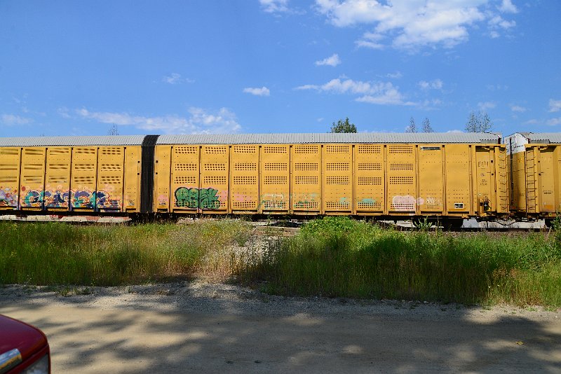 DSC_0661.JPG