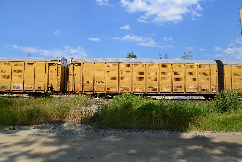 DSC_0662.JPG