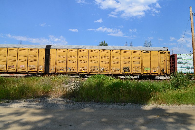 DSC_0663.JPG