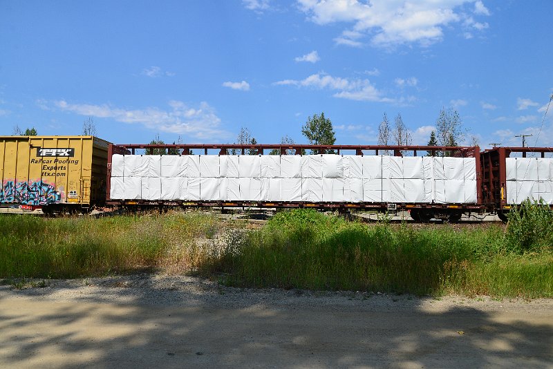 DSC_0675.JPG