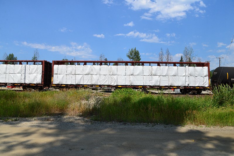 DSC_0676.JPG