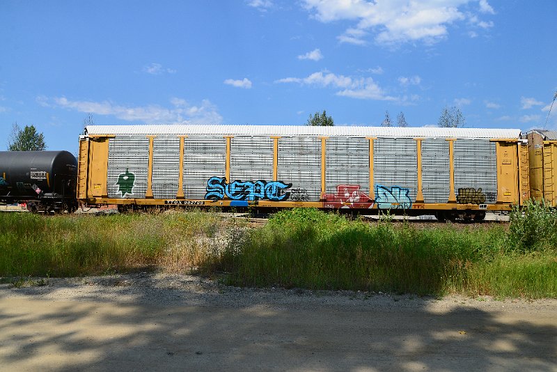 DSC_0682.JPG