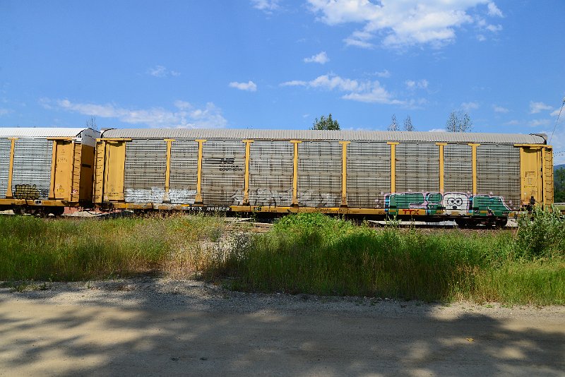 DSC_0683.JPG