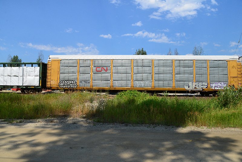 DSC_0687.JPG