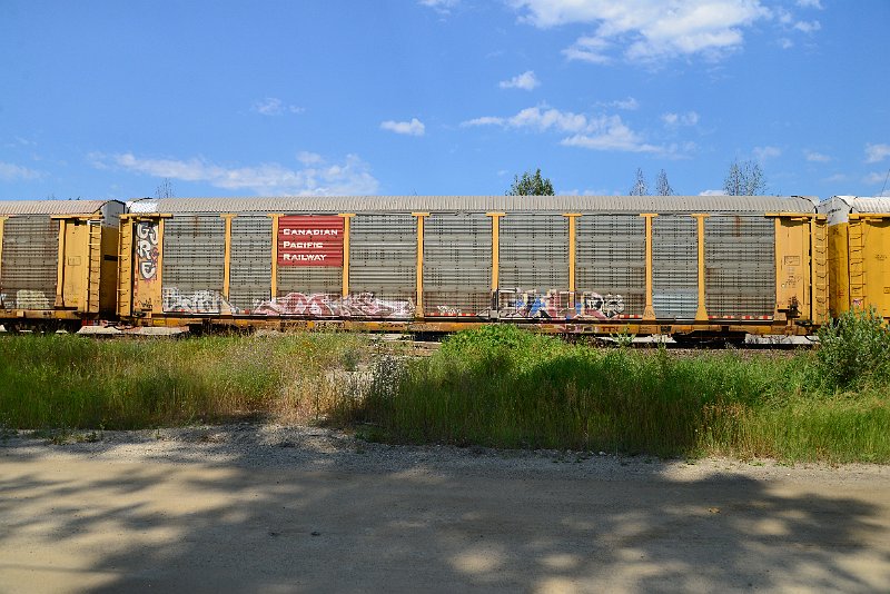 DSC_0689.JPG