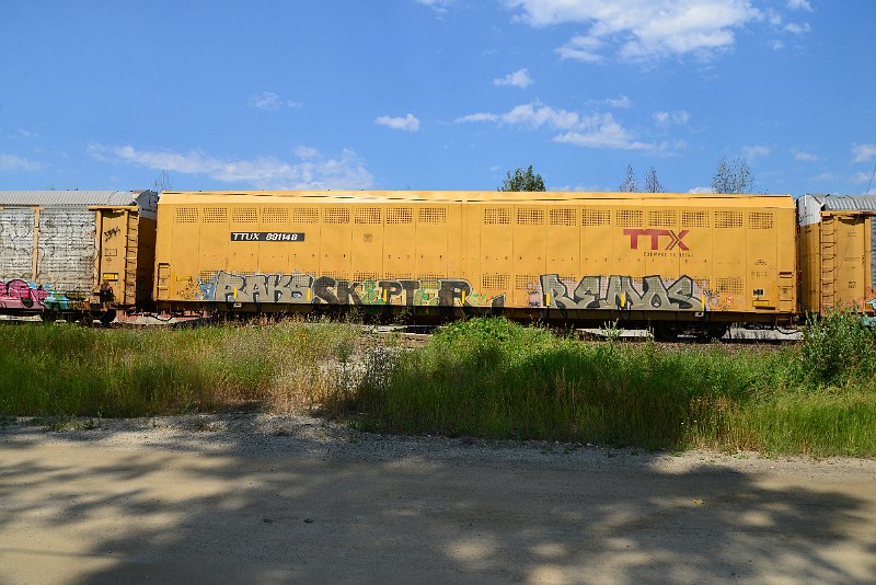 DSC_0693.JPG