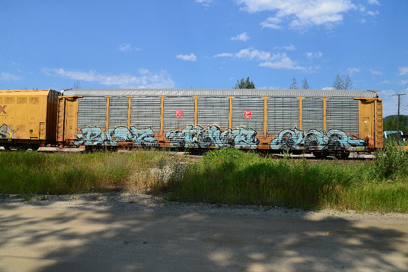 DSC_0694.JPG
