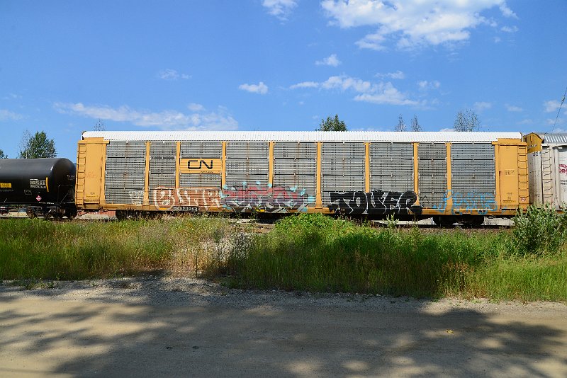 DSC_0711.JPG