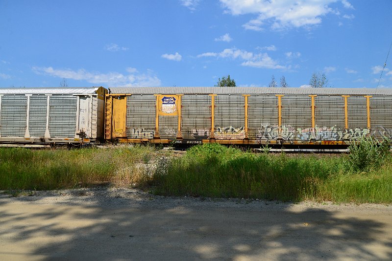 DSC_0713.JPG