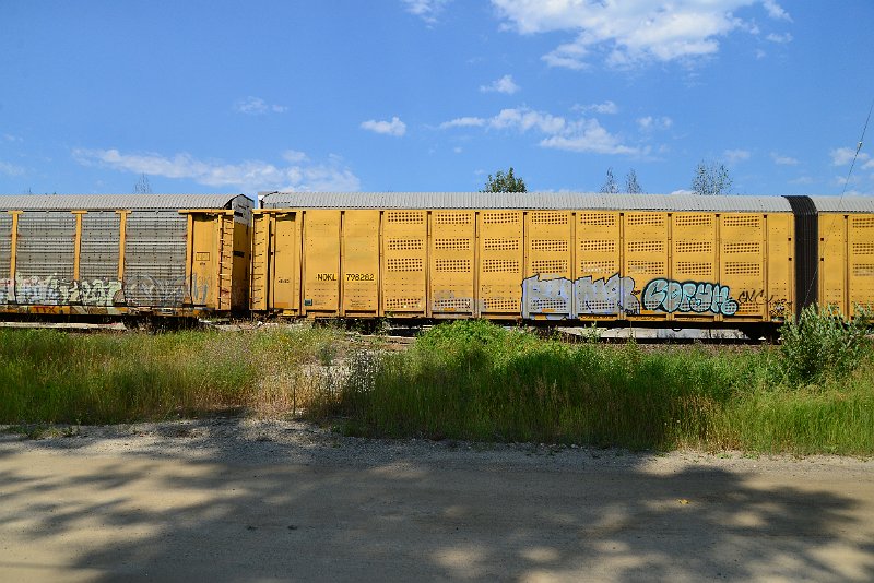 DSC_0714.JPG