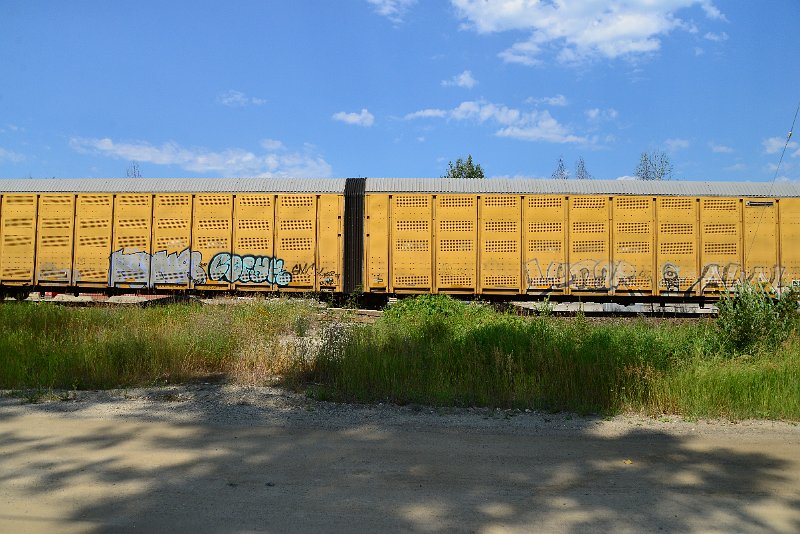 DSC_0715.JPG