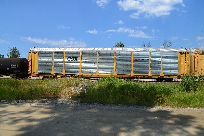 DSC_0727.JPG
