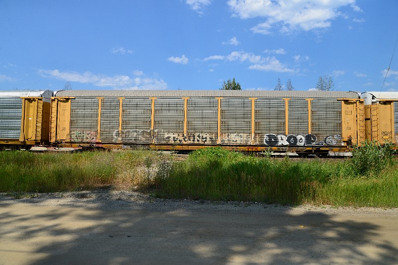 DSC_0728.JPG