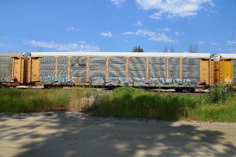 DSC_0729.JPG