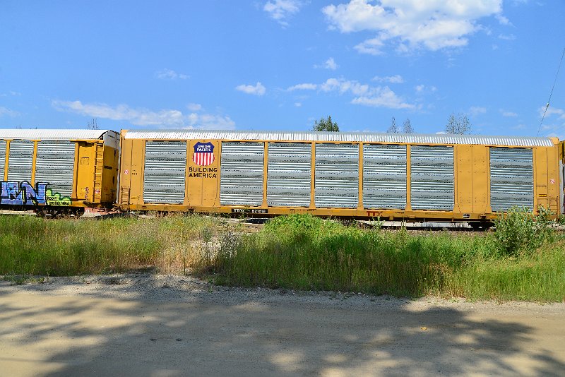 DSC_0731.JPG