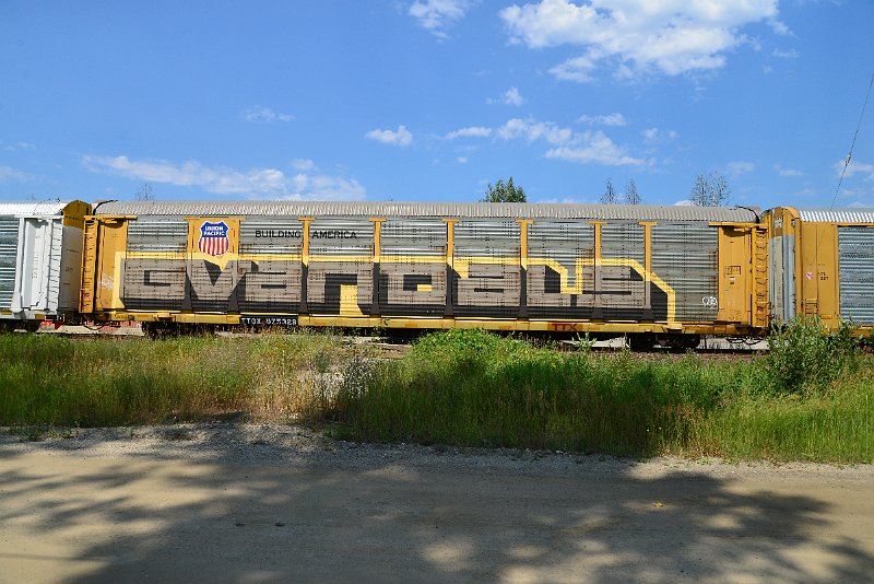 DSC_0733.JPG