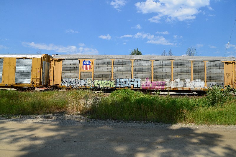 DSC_0735.JPG