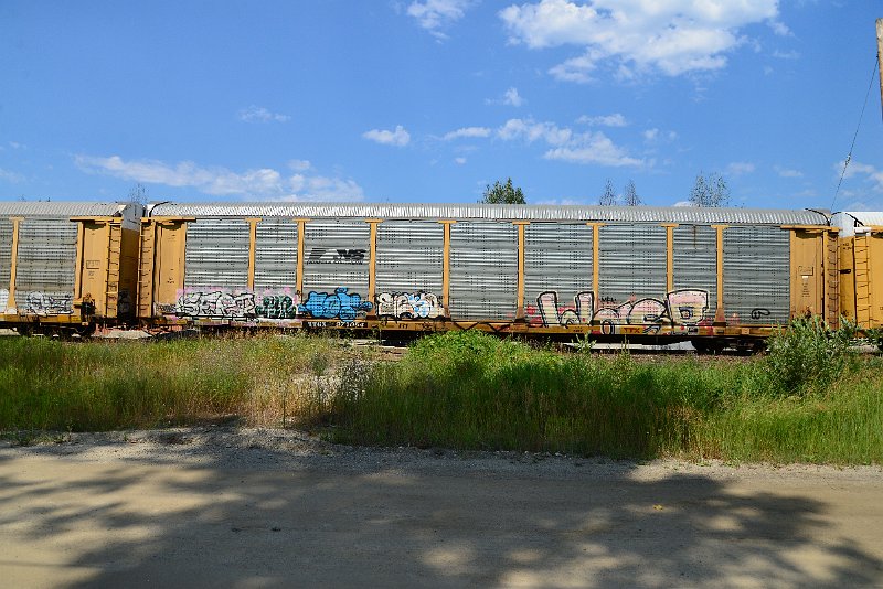 DSC_0736.JPG